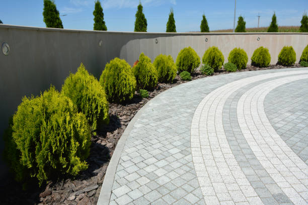 Best Decorative Driveway Pavers  in Caruthersville, MO